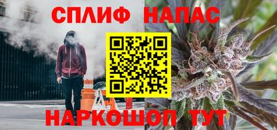 молекула духа Партизанск