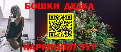 молекула духа Партизанск