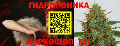 молекула духа Партизанск