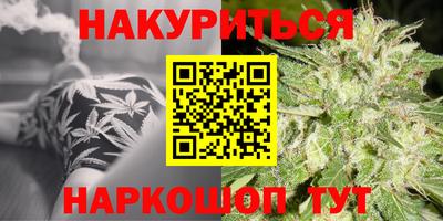 молекула духа Партизанск