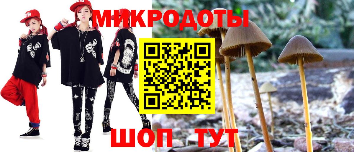Прохладный  Псилоцибиновые грибы Psilocybe  Вход с VPN  Галлюциногенные грибы GOLDEN TEACHER 