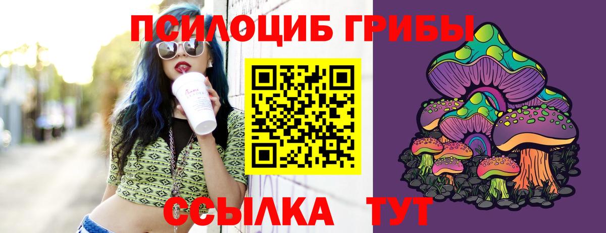 Псилоцибиновые грибы мицелий Прохладный